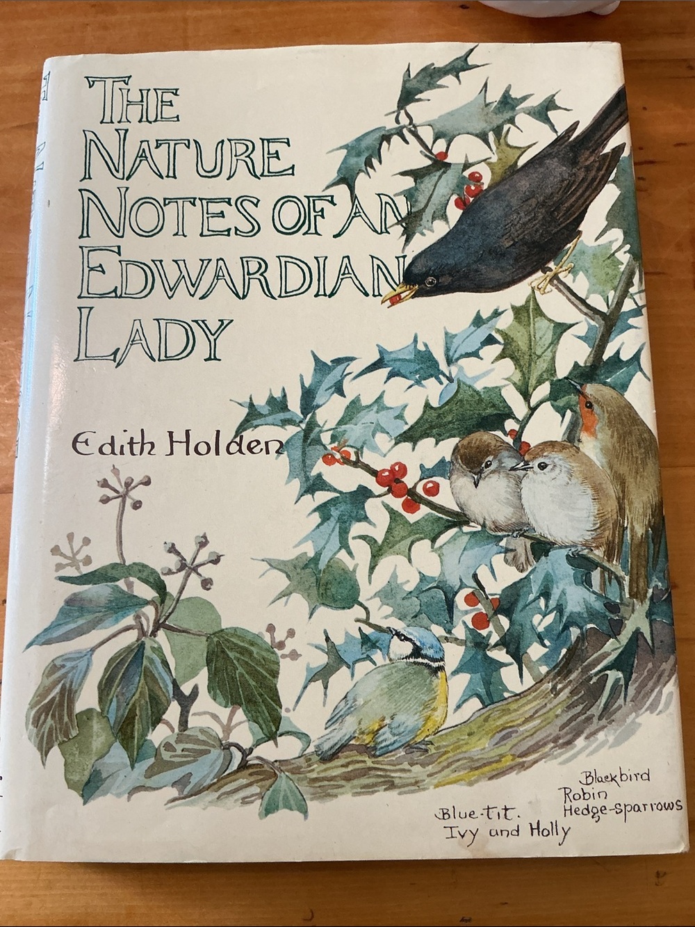 1905 The Nature Notes of an Edwardian Lady by Edith Holden Illustrated Hardcover